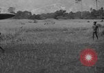 Image L-5 Piper Cub planes PALAWAN PHILIPPINES, 1945, de la seconde 28 séquences d'archives historiques vidéo 65675052257