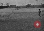 Image L-5 Piper Cub planes PALAWAN PHILIPPINES, 1945, de la seconde 29 séquences d'archives historiques vidéo 65675052257