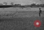 Image L-5 Piper Cub planes PALAWAN PHILIPPINES, 1945, de la seconde 30 séquences d'archives historiques vidéo 65675052257