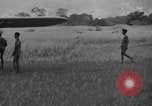 Image L-5 Piper Cub planes PALAWAN PHILIPPINES, 1945, de la seconde 32 séquences d'archives historiques vidéo 65675052257