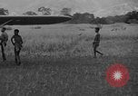 Image L-5 Piper Cub planes PALAWAN PHILIPPINES, 1945, de la seconde 33 séquences d'archives historiques vidéo 65675052257