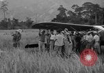 Image L-5 Piper Cub planes PALAWAN PHILIPPINES, 1945, de la seconde 46 séquences d'archives historiques vidéo 65675052257