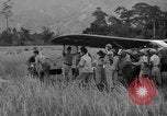 Image L-5 Piper Cub planes PALAWAN PHILIPPINES, 1945, de la seconde 47 séquences d'archives historiques vidéo 65675052257