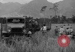 Image L-5 Piper Cub planes PALAWAN PHILIPPINES, 1945, de la seconde 48 séquences d'archives historiques vidéo 65675052257