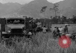 Image L-5 Piper Cub planes PALAWAN PHILIPPINES, 1945, de la seconde 49 séquences d'archives historiques vidéo 65675052257