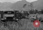 Image L-5 Piper Cub planes PALAWAN PHILIPPINES, 1945, de la seconde 50 séquences d'archives historiques vidéo 65675052257