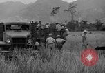 Image L-5 Piper Cub planes PALAWAN PHILIPPINES, 1945, de la seconde 52 séquences d'archives historiques vidéo 65675052257