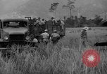 Image L-5 Piper Cub planes PALAWAN PHILIPPINES, 1945, de la seconde 53 séquences d'archives historiques vidéo 65675052257