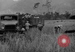 Image L-5 Piper Cub planes PALAWAN PHILIPPINES, 1945, de la seconde 54 séquences d'archives historiques vidéo 65675052257
