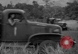 Image L-5 Piper Cub planes PALAWAN PHILIPPINES, 1945, de la seconde 56 séquences d'archives historiques vidéo 65675052257