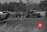 Image L-5 Piper Cub planes PALAWAN PHILIPPINES, 1945, de la seconde 58 séquences d'archives historiques vidéo 65675052257