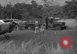 Image L-5 Piper Cub planes PALAWAN PHILIPPINES, 1945, de la seconde 59 séquences d'archives historiques vidéo 65675052257