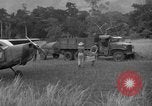 Image L-5 Piper Cub planes PALAWAN PHILIPPINES, 1945, de la seconde 60 séquences d'archives historiques vidéo 65675052257