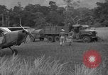 Image L-5 Piper Cub planes PALAWAN PHILIPPINES, 1945, de la seconde 61 séquences d'archives historiques vidéo 65675052257