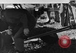 Image Piper Cub avion Italie, 1944, de la seconde 35 séquences d'archives historiques vidéo 65675052266