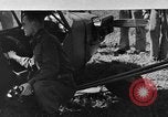 Image Piper Cub avion Italie, 1944, de la seconde 37 séquences d'archives historiques vidéo 65675052266