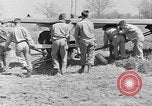 Image Piper Cub avion Italie, 1944, de la seconde 57 séquences d'archives historiques vidéo 65675052266