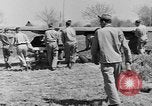 Image Piper Cub avion Italie, 1944, de la seconde 60 séquences d'archives historiques vidéo 65675052266