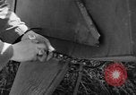 Image of Crashed Piper Cub (L-4) airplane prepared for towing Italy, 1944, second 33 stock footage video 65675052267