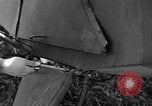 Image of Crashed Piper Cub (L-4) airplane prepared for towing Italy, 1944, second 36 stock footage video 65675052267