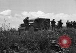 Image of L-5B planes Okinawa Ryukyu Islands, 1945, second 3 stock footage video 65675052270