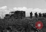 Image of L-5B planes Okinawa Ryukyu Islands, 1945, second 4 stock footage video 65675052270