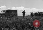 Image of L-5B planes Okinawa Ryukyu Islands, 1945, second 5 stock footage video 65675052270
