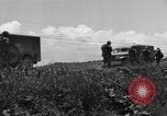 Image of L-5B planes Okinawa Ryukyu Islands, 1945, second 6 stock footage video 65675052270