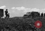 Image of L-5B planes Okinawa Ryukyu Islands, 1945, second 7 stock footage video 65675052270