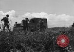 Image of L-5B planes Okinawa Ryukyu Islands, 1945, second 10 stock footage video 65675052270
