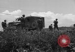 Image of L-5B planes Okinawa Ryukyu Islands, 1945, second 11 stock footage video 65675052270