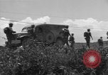 Image of L-5B planes Okinawa Ryukyu Islands, 1945, second 12 stock footage video 65675052270
