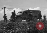 Image of L-5B planes Okinawa Ryukyu Islands, 1945, second 13 stock footage video 65675052270