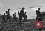 Image of L-5B planes Okinawa Ryukyu Islands, 1945, second 15 stock footage video 65675052270