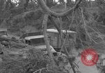 Image of L-5B planes Okinawa Ryukyu Islands, 1945, second 15 stock footage video 65675052271