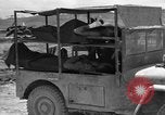 Image of L-5B planes Okinawa Ryukyu Islands, 1945, second 48 stock footage video 65675052271