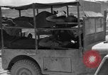 Image of L-5B planes Okinawa Ryukyu Islands, 1945, second 49 stock footage video 65675052271