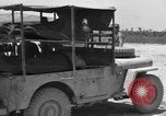 Image of L-5B planes Okinawa Ryukyu Islands, 1945, second 56 stock footage video 65675052271