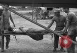 Image of casualty Okinawa Ryukyu Islands, 1945, second 15 stock footage video 65675052272