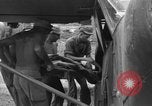 Image of casualty Okinawa Ryukyu Islands, 1945, second 19 stock footage video 65675052272