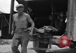 Standbild L-5B-Ebenen Okinawa Ryukyu Inseln, 1945, aus Sekunde 4 historischem Filmmaterial Videoclip 65675052273