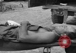 Standbild L-5B-Ebenen Okinawa Ryukyu Inseln, 1945, aus Sekunde 9 historischem Filmmaterial Videoclip 65675052273