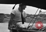 Standbild L-5B-Ebenen Okinawa Ryukyu Inseln, 1945, aus Sekunde 32 historischem Filmmaterial Videoclip 65675052273
