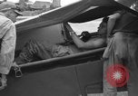Standbild L-5B-Ebenen Okinawa Ryukyu Inseln, 1945, aus Sekunde 39 historischem Filmmaterial Videoclip 65675052273