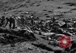 Standbild USA Soldaten Kiska Aleutian Islands Alaska USA, 1943, aus Sekunde 20 historischem Filmmaterial Videoclip 65675052276