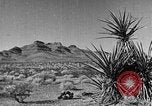 Immagine di Canyon Nero Boulder City Nevada USA, 1936, secondo 53 filmato di repertorio 65675052280