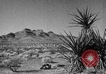 Immagine di Canyon Nero Boulder City Nevada USA, 1936, secondo 55 filmato di repertorio 65675052280
