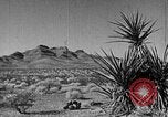 Immagine di Canyon Nero Boulder City Nevada USA, 1936, secondo 56 filmato di repertorio 65675052280