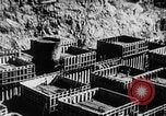 Image of Hoover Dam Nevada United States USA, 1936, second 49 stock footage video 65675052283