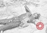 Image of Marines Tarawa Gilbert Islands, 1943, second 60 stock footage video 65675052287
